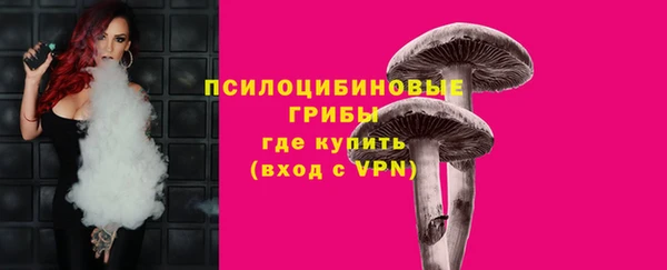 эйфоретик Каменка