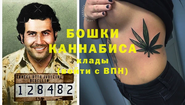 эйфоретик Каменка