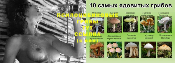 скорость Каменногорск