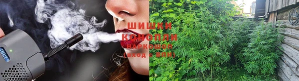 эйфоретик Каменка