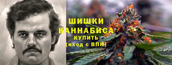 эйфоретик Каменка